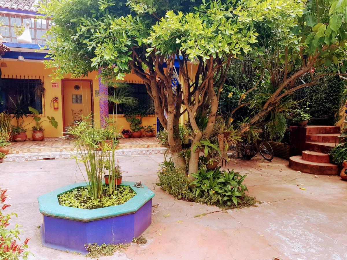 הוסטל San Cristóbal de Las Casas Qhia מראה חיצוני תמונה