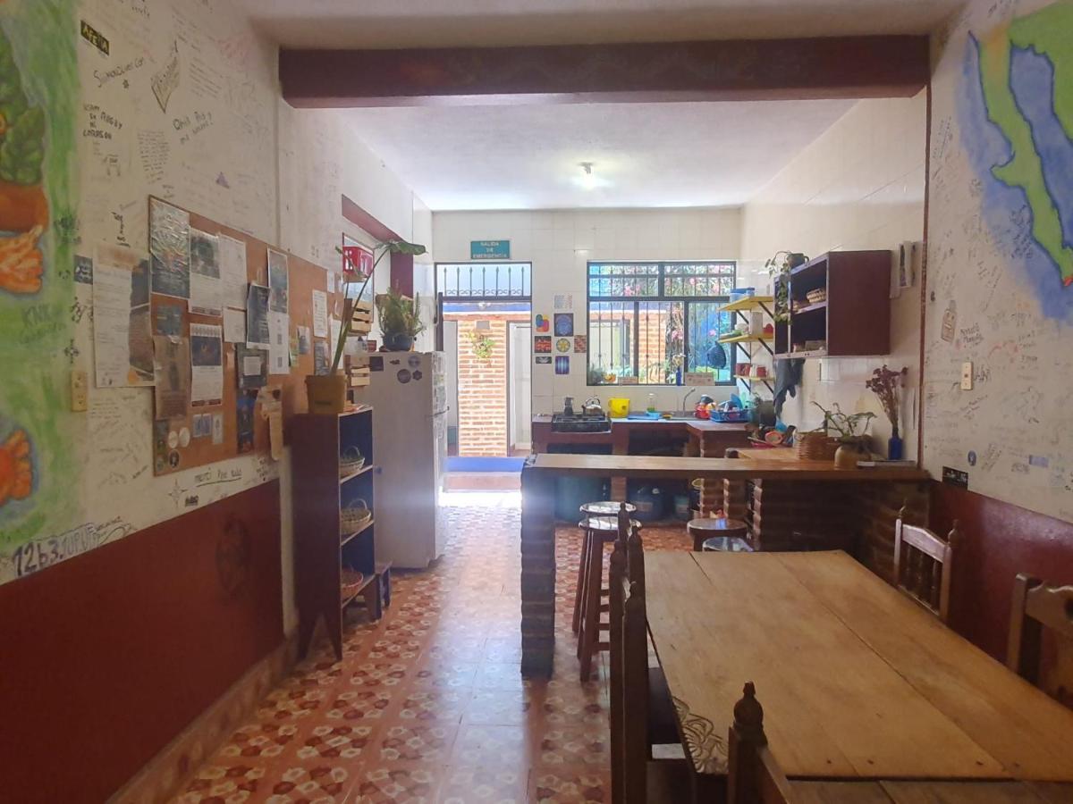 הוסטל San Cristóbal de Las Casas Qhia מראה חיצוני תמונה