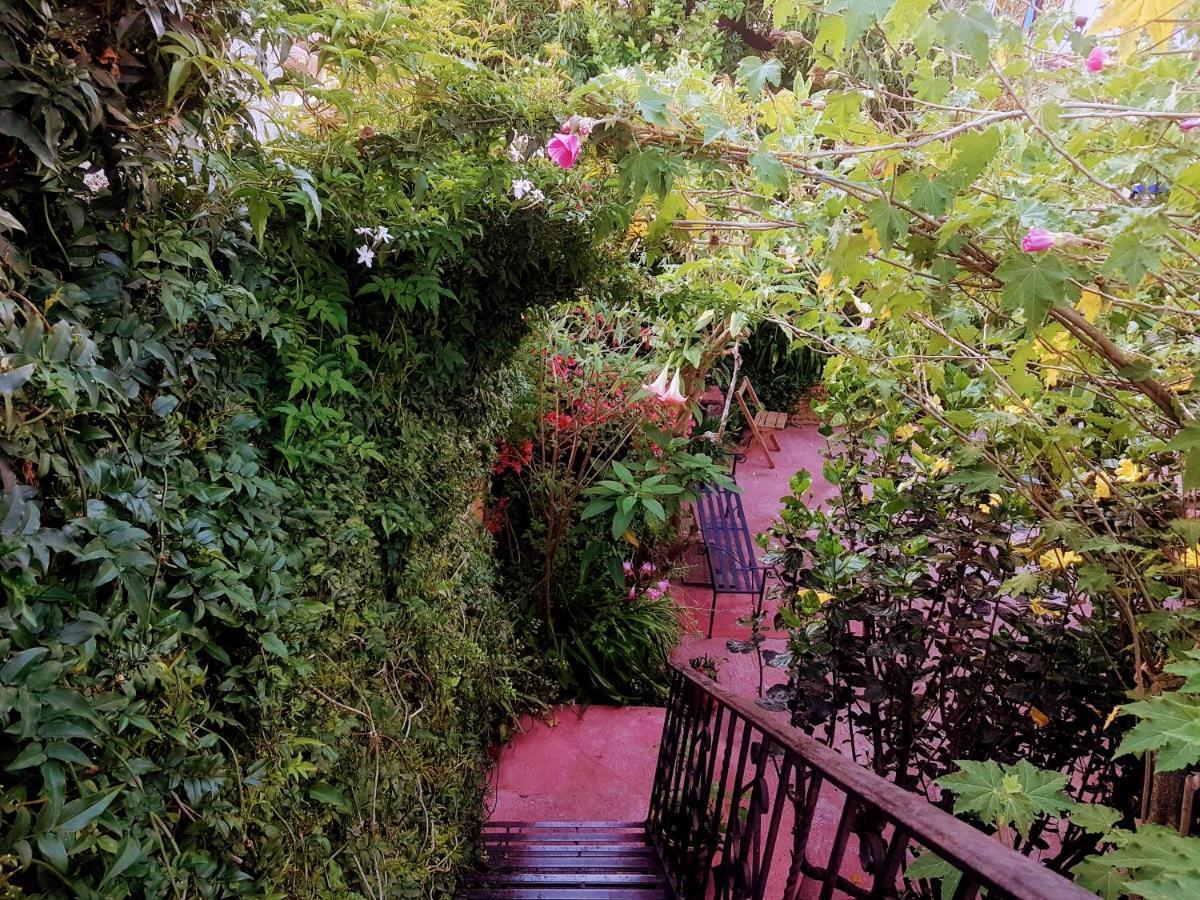 הוסטל San Cristóbal de Las Casas Qhia מראה חיצוני תמונה