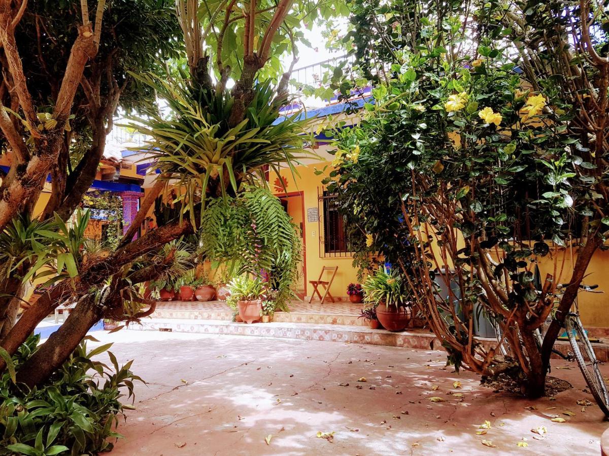הוסטל San Cristóbal de Las Casas Qhia מראה חיצוני תמונה