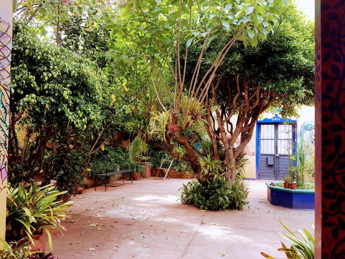 הוסטל San Cristóbal de Las Casas Qhia מראה חיצוני תמונה