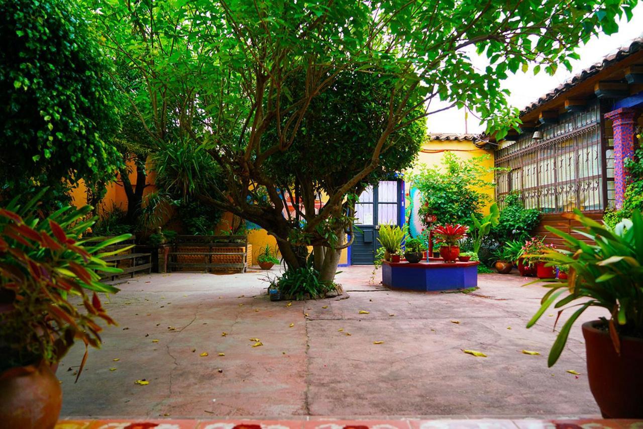 הוסטל San Cristóbal de Las Casas Qhia מראה חיצוני תמונה