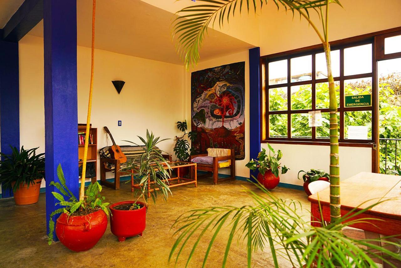 הוסטל San Cristóbal de Las Casas Qhia מראה חיצוני תמונה